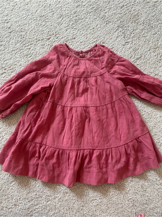 Zara Other - Girls' Pink Tiered Long-Sleeve Dress